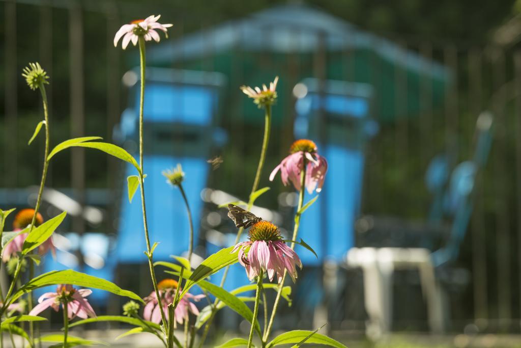 Brook Farm Inn Lenox Zewnętrze zdjęcie